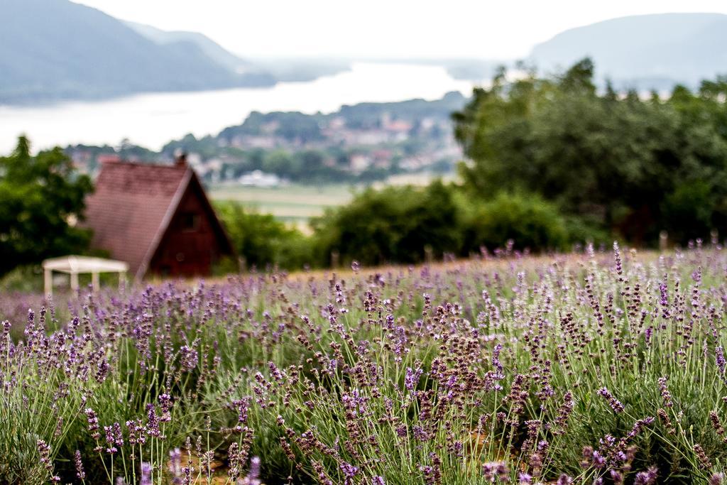 Hotel Natura Hill Panzió&Slow Food Fine Bistro Zebegény Exterior foto